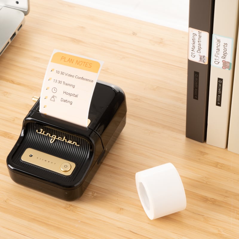 Niimbot B21 Portable Thermal Label Printer – Black